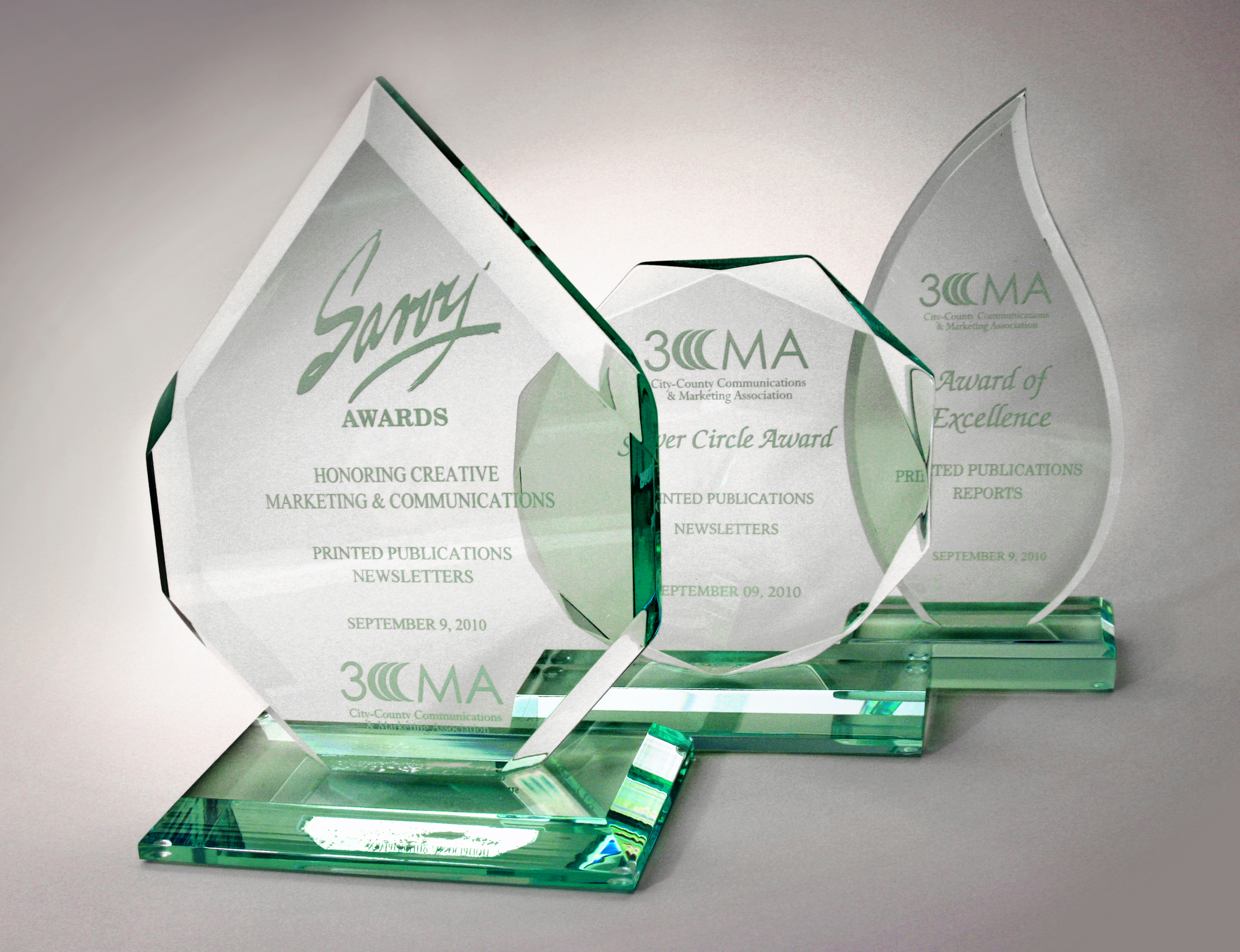 3CMA Savvy, Silver Circle and Award of Excellence